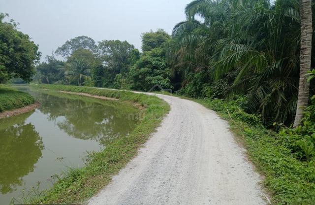 Tanah di tasek gelugor seberang perai 1