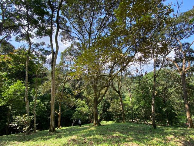 3.9 Ekar Tanah Dusun 80 Batang Pokok Durian Batu 17 Hulu Langat 1