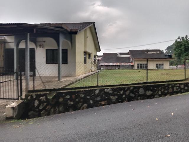 Single Storey House For Rent 1