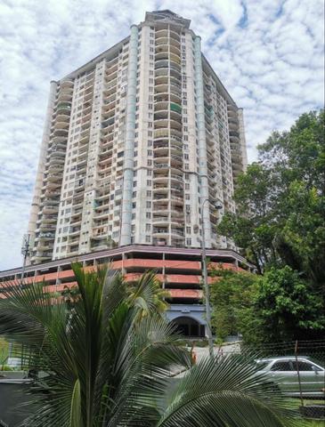 Venice Hill 1