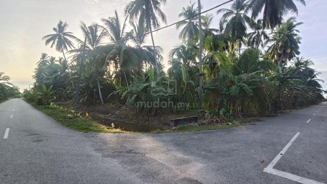 Sabak Bernam Selangor 3