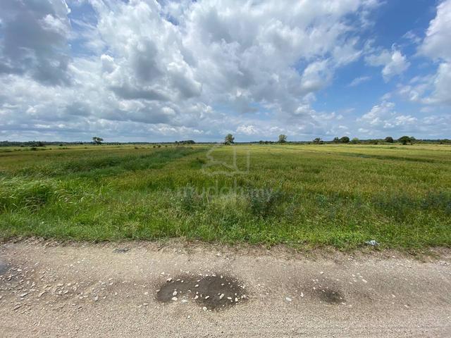 Tanah Sawah 3 Ekar @ Sawah Labong, Endau Utk Dijual 1