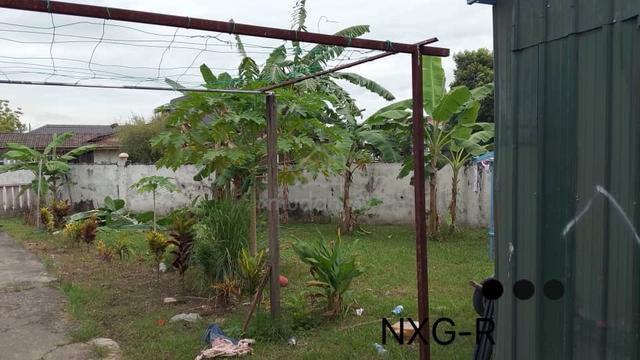 [Corner Lot] Taman Petaling Indah Palm Gtove Chi liung single sty 4380 1