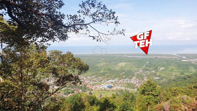 8.55 acre Agricultural Land | Durian Farm Balik Pulau | Penang 1