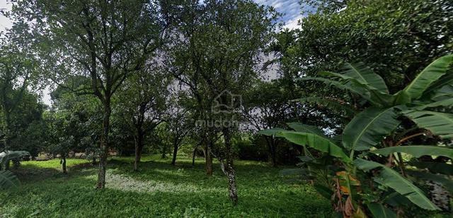 Kampung Paya Jaras Shah Alam Agriculture Land 1