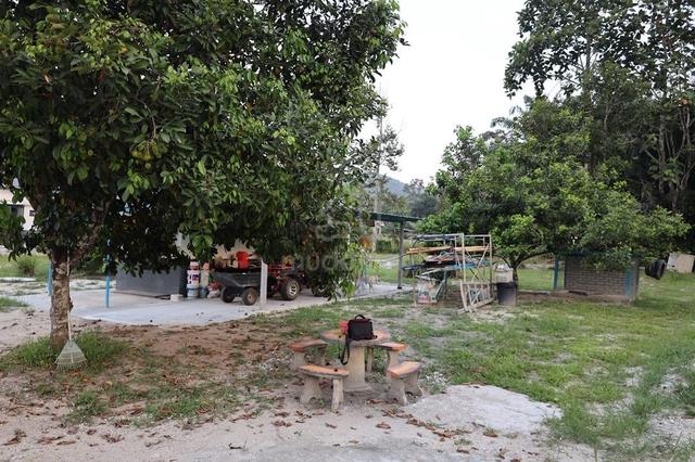 Dusun 1.114 ekar di Kg Rawa Ulu, Lenggeng Seremban Negeri Sembilan 1