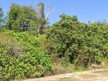 75 acre JV Land Sepang, Bandar Baru Salak Tinggi, KLIA 2