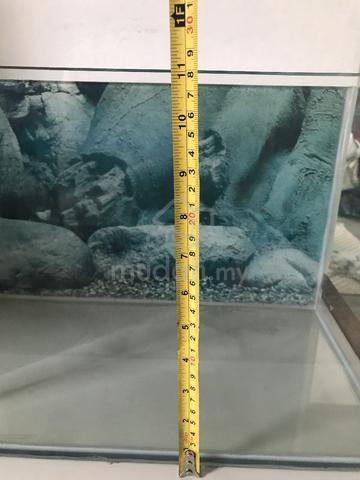 Aquarium Curve - photo 6 of 6