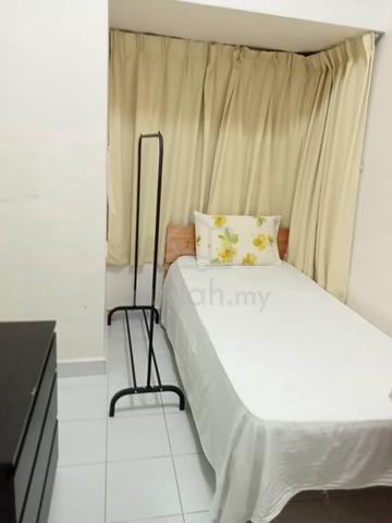 Budget Room Ivory Plaza USM Bukit Gambir Gelugor For Rent 1