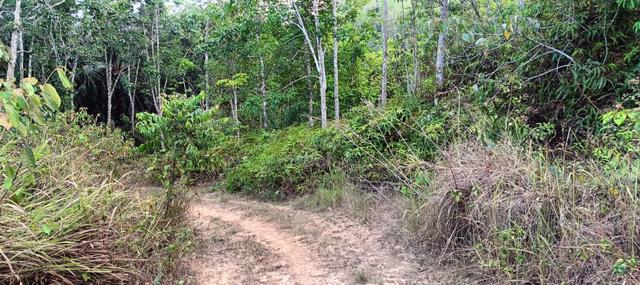 Tanah Kebun Getah Di Mukim Gurun, Kedah 1
