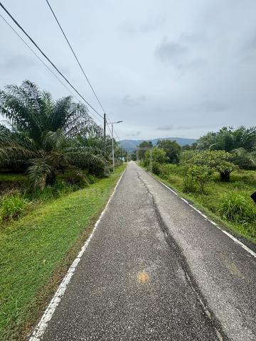 Tanah Pertanian Kampung Lukut Kota Tinggi Johor 2
