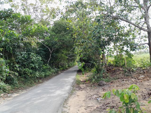 [2Ekar Boleh Masuk 6Nama] Kebun Getah Tepi Minitar Carok Tok Uban 3