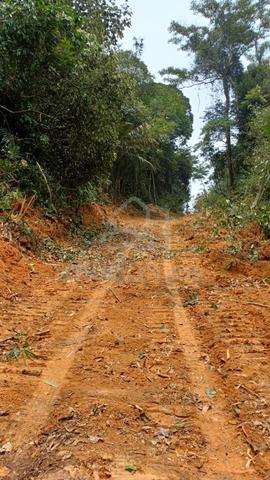 Tanah Sawit Bukit Beruntung 3 ekar 1