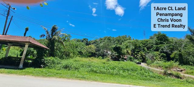 CL Land, Jalan N.C. Mogunting Penampang for SALE 1