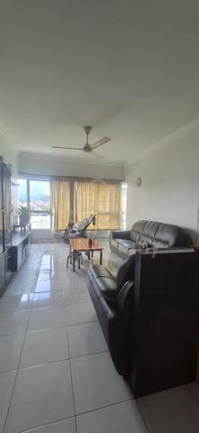 Alpha Villa 1