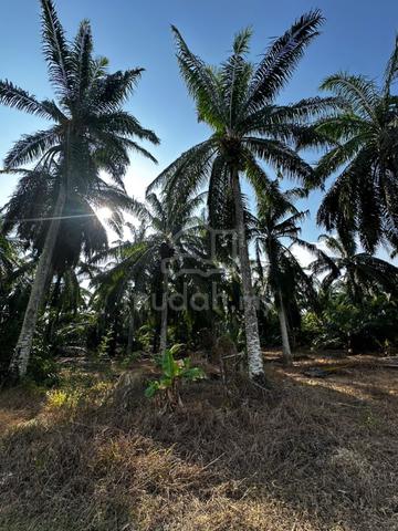 5 Ekar Land for Sale in Sepang 1