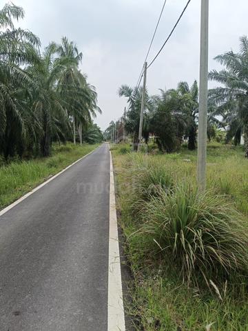 Tanah Untuk Dijual di Pasir Tuntung Kg Api-Api 1