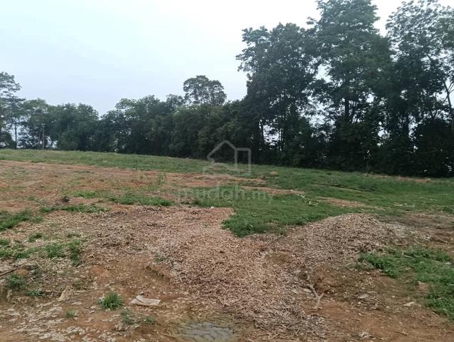 3 acres freehold @ Rantau 1