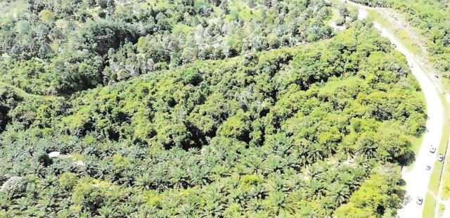 Tanah Investment Masa Depan di Keningau 1