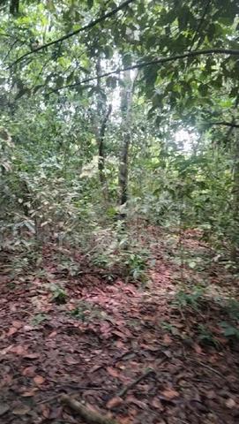 Tanah untuk dijual di Juasseh Kapitan 1