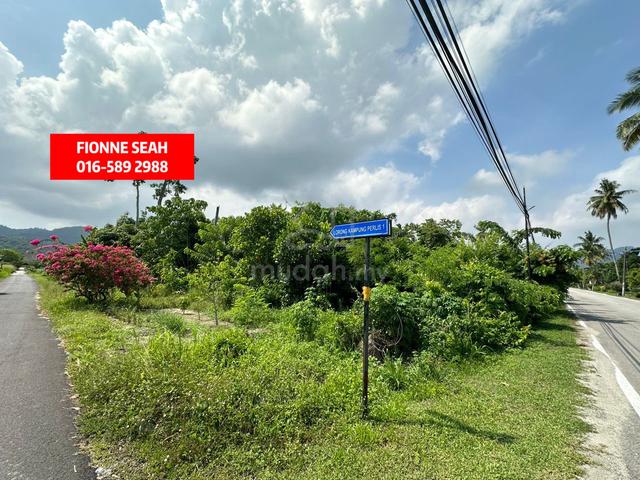Land Sale At Jalan Bharu Balik Pulau 0.22 Acre 1