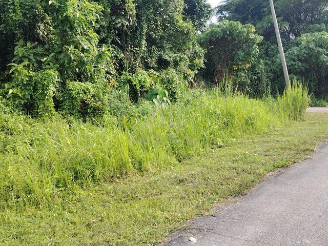 4000sf bglow land DESA SIMPANG SENTOSA SIMPANG tpg 1