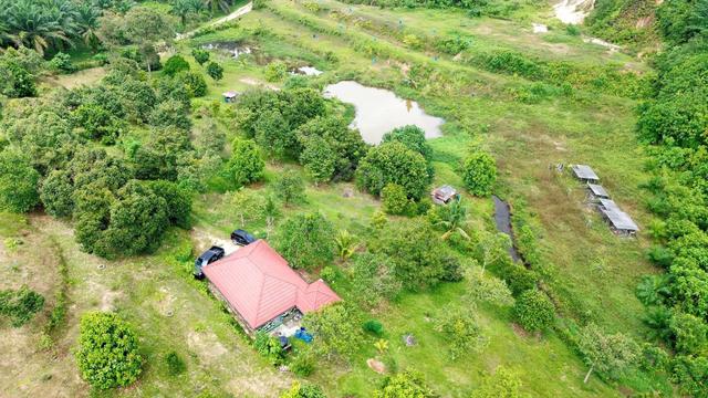 150 Ekar Freehold Agriculture Land Sungai 2 Karak 1