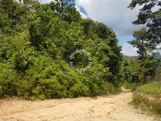 Tanah 3 Ekar di Kampung Guntur Batu Kikir Negeri Sembilan 1