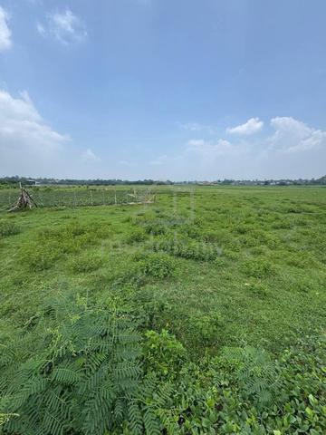 Tanah Pertanian 0.55 ekar Kg Alur Parit Undang,Marang 1