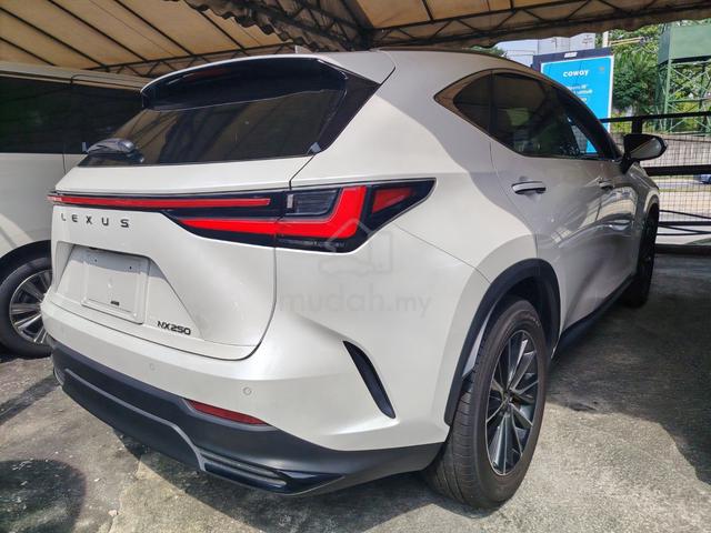 2023 Lexus NX250 LUXURY SE UNREG,4 EYE,BLACK SEATS - 5