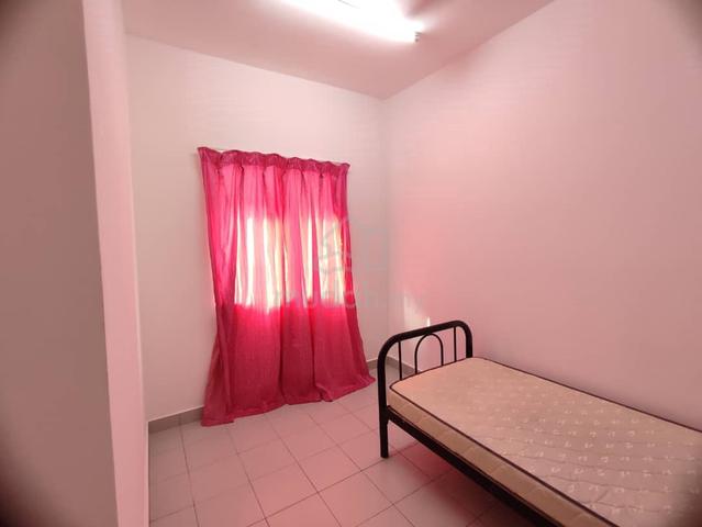 Room for MALE (Available JUN 2026) 1