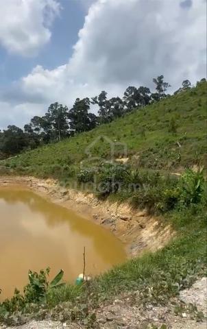 Durian Tree Land/Negeri Sembilan/ Kuala Pilah, Jempol/ 15 acres 5
