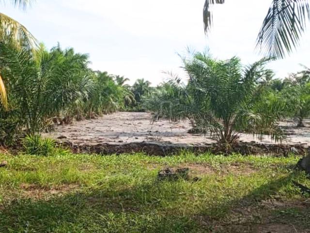 [ Tanah Dekat WCE Highway ] Kampung Sungai Burung , Tanjung Karang 1