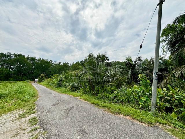 Tanah Kg Tengah Pekan Nenas Tepi Sungai [ Ada Akses Jalan Api Air ] 1