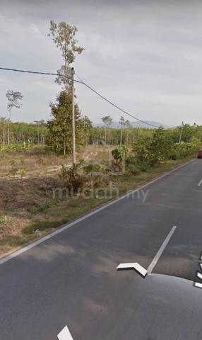 Tanah Pertanian (getah) Di Kampung Gajah Putih, Sik Kedah 1