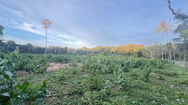 Tanah 4