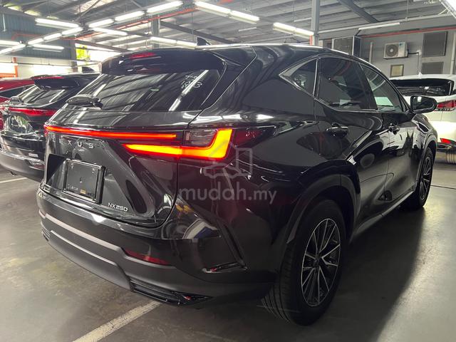 2023 Lexus NX 250 2.5 PREMIUM (A) 4 CAMERA BSM LTR - 4