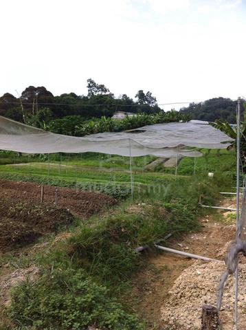 8 Acres Agricultural Land For Sale At Hulu Langat Selangor 1