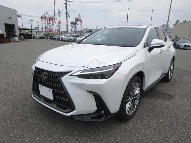 2024 Lexus NX250 Version L AWD - 3