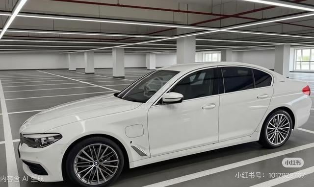 BMW 530e | December 2019 milleage 89025km - 1