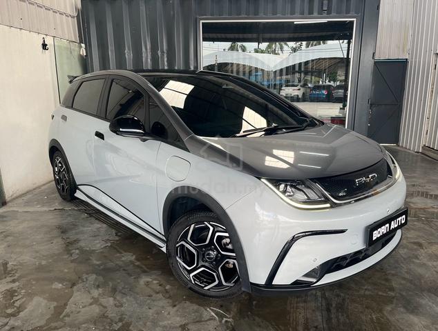 Byd DOLPHIN PREMIUM EXTENDED Direct Seller - 1