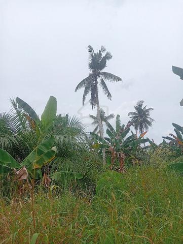 Tanah persendirian untuk di jual 1
