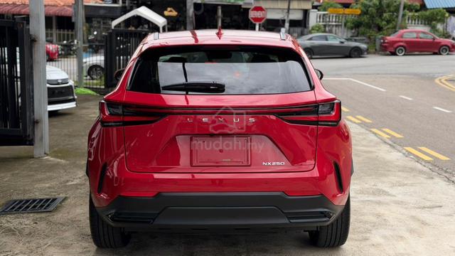 * Light Brown SEAT 4.5B *✨2023 Lexus NX 250 LUXURY - 3
