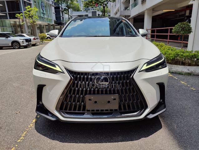 CHEAPEST 2023 Lexus NX 250 2.5 LUXURY NX250 OFFER - 3