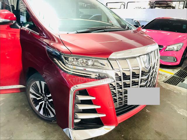 DIRECT OWNER FULL SPEC Toyota ALPHARD SC REG 24 - 1