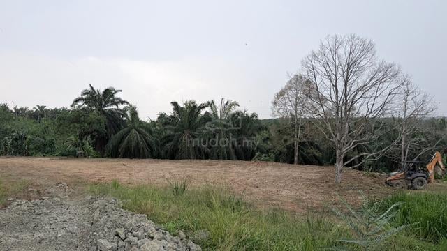 land for rent 1