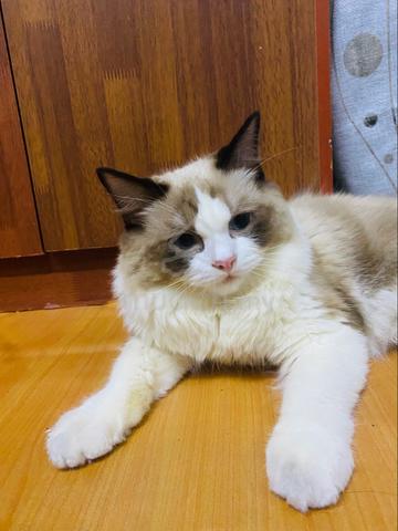 Carousel Image