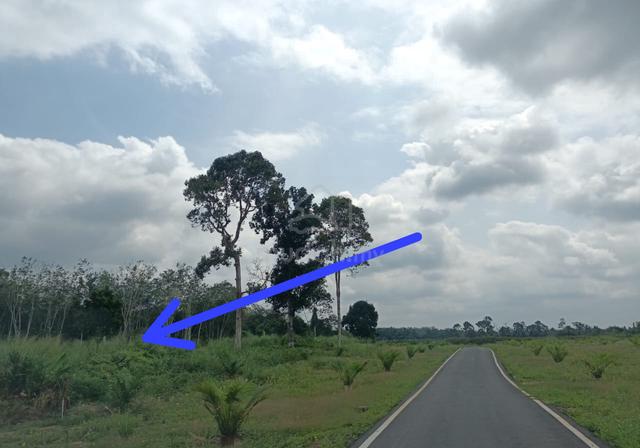 1.5 Ekar Tanah kosong Kg Lubuk Batu Bandar Segamat Johor 1