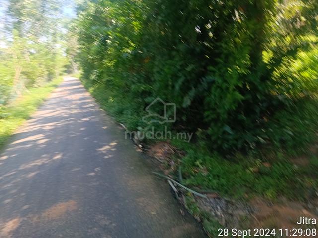 Freehold International Potential Land For Sale 1