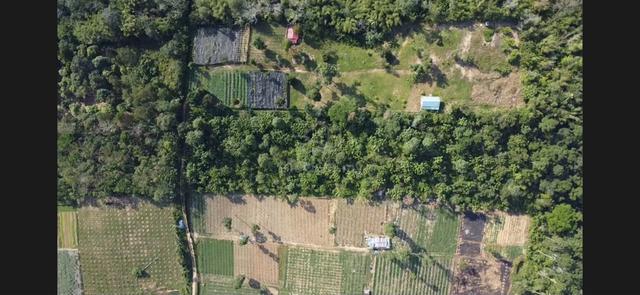 FOR SALE - 3.56 Acres Freehold Agricultural Land in Sungai Lui 1